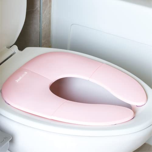 Top 10 Best Potty Seat For Girls Reviews & Buying Guide Katynel