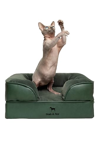 Image of NOAH & PAW Small Dog Bed, 20x15x8 Inch, Cat Bed for Indoor Cats, Orthopedic Eggshell Memory Foam Infused with Cooling Gel, Water Resistant Inner Cover Machine Washable (Faux Leather)