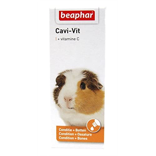 BEAPHAR – Cavi-Vit, vitamine C pour cochon d'Inde – Assure vitalité et bien-être pour une santé optimale –Répond aux besoins des cochons d’Inde en Vitamine C – Donne un poil brillant – 20 ml