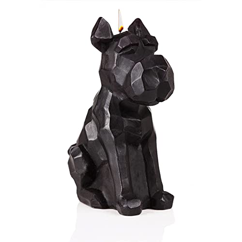 Bougie squelette Schnauzer déco originale intérieur maison