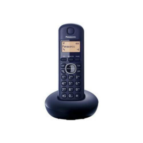 Panasonic PP501 Replacement Battery for Panasonic 900MHz Phones