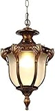 il peut donner suffisamment de lumière à votre pièce !