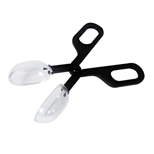 CIYODO 2s[V[঒ eEp a N[jO Nbv gJQ a H  f |p ʋCEt a ߊl \