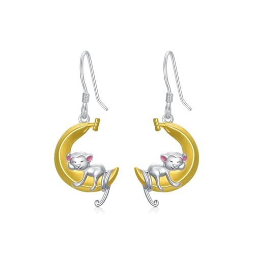 Boucles d'oreilles lune argent anti-allergie résout les lobes sensibles WSX