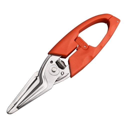 ͂ȃolXeXX`[̑@\ƒpHi͂݁Bς݂̓؂A΂肷̂ɓKĂ܂B (IWF)