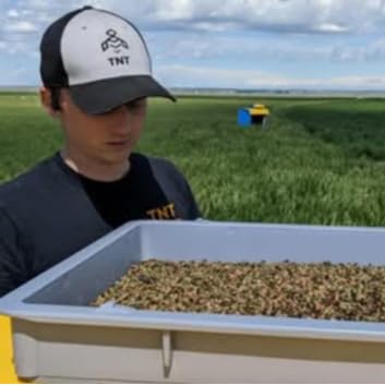 More on Leafcutter Bees