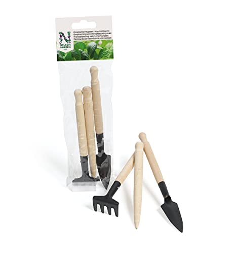 Schönes Umpflanzset für Sukkulenten - Nelson Garden Pflanzen Zubehör - Pflanzen Set, 3 Teile Cover