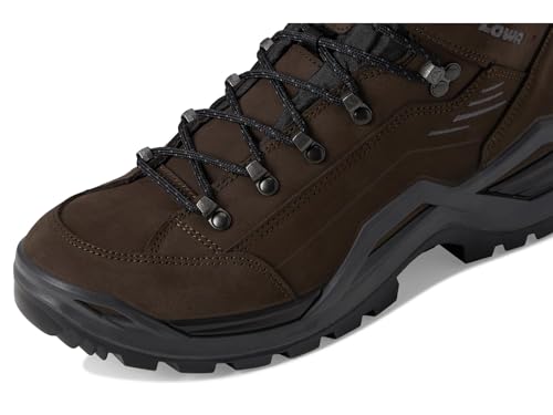 Image of LOWA Men's Renegade EVO GTX Mid Hiking Boot