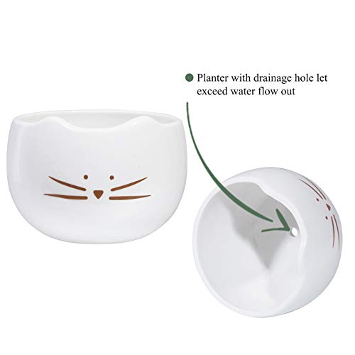 Koolkatkoo 5.5 Inch Cute Cat Succulent Planter Pots Cactus Planters Flower Pots White Set Of 2 #TOP6
