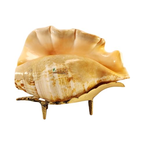 BRIJ HAAT Natural Blowing shankh conch shell with Brass Stand Golden