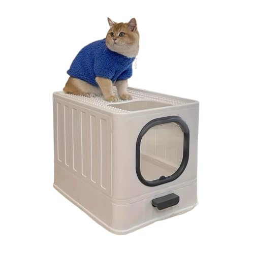 Rh~LpgC{bNX o qLg[jOpgC XRbvƊWt юUh~