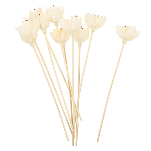 BESTYASH 10Pcs Decorative Diffuser Sticks for Home Fragrance Natural Flower Design Aromatherapy Accessories for Bedrooms Offices Yoga Rooms More