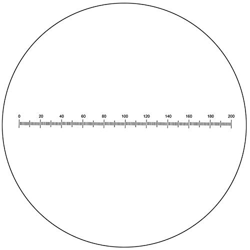 BoliOptics Microscope Eyepiece Reticle Linear Scale Micrometer Ruler Dia. 24mm, 10mm/200 Div. RT20101162
