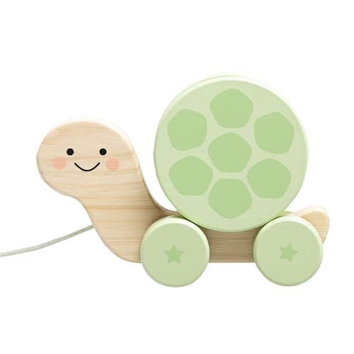 Pearhead Wooden Turtle Push and Pull Toy, Montessori Shake and Rattle Shell, Baby Walking and Gross Motor Development Learning, Pull Along Car Toy,...