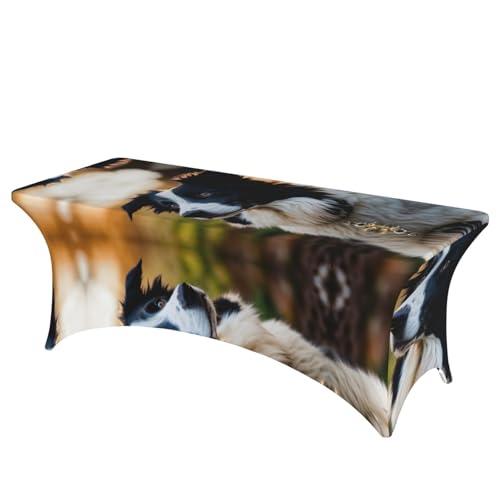 Nappe extensible de protection lavable pour effacer les taches - 2