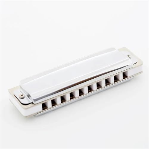 n[jJZbg 10vtFbViu[X_CAgjbNn[jJCL[Vo[J[Jo[v[[ptH[}Xp(EB Tone)