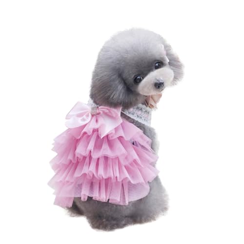 KOMBIUDA ybghX p``XJ[g [X{t tĂop ^LΉ KyʂŒEȒP sN