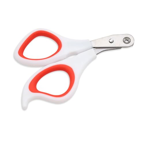 iplusmile v bViϖՃybglC [ y Lpܐ؂ l ŉ