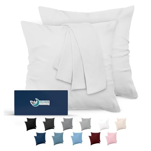 Dreamzie Taie Oreiller 60x60 Lot de 2 en Microfibre Certifiée Oeko-Tex - Housse Coussin Douce Et Brossée, Toucher Peau de Pêche - Blanc