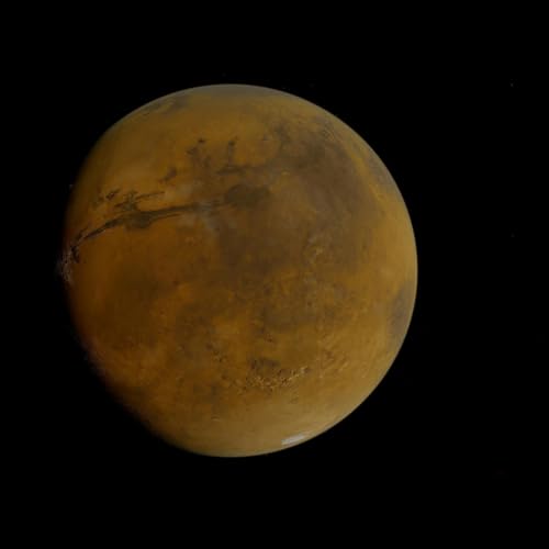 『Is there life on Mars?』のカバーアート