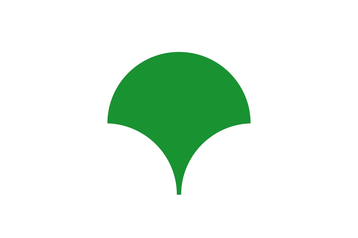 Drapeau de Tokyo grand format anti-décoloration pour remplacer les bannières fragiles