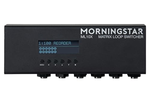 ギター MORNINGSTAR ML10X 31z5up89PdL.jpg
