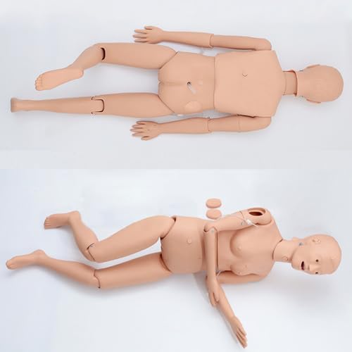 Image of Medical Mannequin for Training, CPR Human Manikins Patient Care Nursing Medical Manikin Nurse Skills Wound Demonstration with 3 Muscle Module for Nursing Training Teaching and Practice (Full)