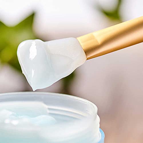 Rnitle 4 Stück Silikon Gesichtsmaske,Haarloser Gesichtsmask Pinsel Set,Gesichts-Applikator-Bürsten zum Auftragen von Gesichtsmaske,für DIY Augenmaske,Hautpflege(Weiß+Rosa+Gelb+Blau)