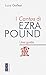 I Cantos Di Ezra Pound. Una Guida - 3