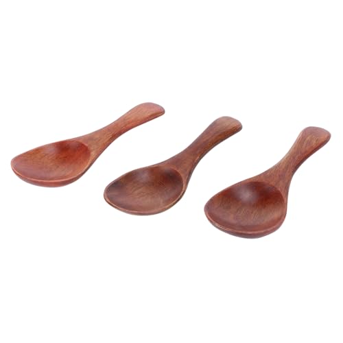 CIYODO 3Pcs Mini Spoons Short Handle Sugar Spoons for Tea and Condiments Kitchen Accessories for Home and Restaurant Use