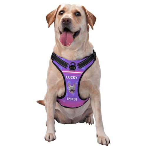 Pettorina Antistrappo per Cani Personalizzata con Nome e Numero di Telefono - Set Completo con Guinzaglio, Giubbino Regolabile e Riflettente per Cani Piccoli, Medi e Grandi (S-XL)