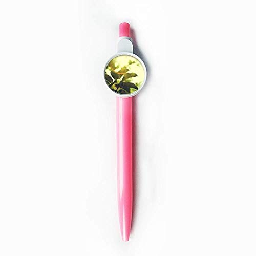 Stylo à bille rétractable bleu pour vos notes de bureau et de maison