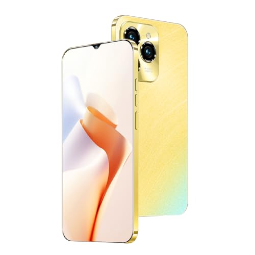 Téléphone déverrouillé 4G LTE 2GB RAM 16GB ROM écran 6,3 Pouces