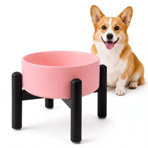 Comedero Perro Elevado de Cerámica - Cuenco para Perros Pequeños y Medianos - Plato Comida con Soporte de Acero Inoxidable - 850 ml - Rosa