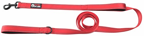 Primal Pet Gear Dog Leash 8ft Long - RED - Traffic Padded Two Handle - Heavy Duty - Double Handles Lead for Control Safety Training - Leashes for Large Dogs or Medium Dogs - Dual Handles Leads