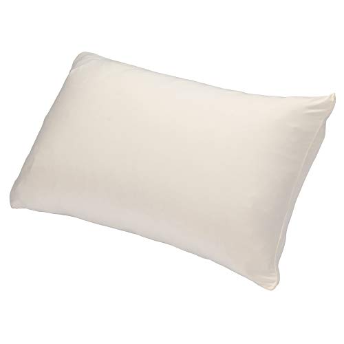 nishikawa 【 西川 】 枕カバー 50~70X35~43cm 吸水速乾 やわらか感触 ストレッチ素材で簡単装着 抗菌加工 帯電防止 アイボリー PJ90102033I