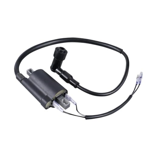 Bobina de encendido 12V con chispa de alta potencia para SL100