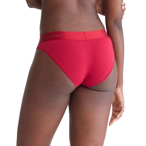 Calvin Klein Women's Modern Cotton Stretch Bikini Panty2
