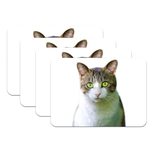 Set de table chat grand format antidérapant pour protéger des rayures - 2