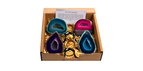 British Fossils Lot de 4 géodes d'agate brésilienne authentiques dans un coffret cadeau