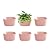 WallyGrow Eco Wall Planter, Create a Plant Wall with Hanging Planters for Indoor or Outdoor Use