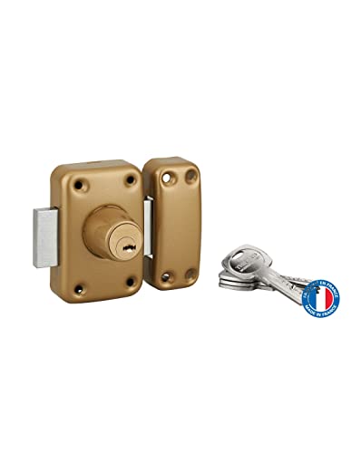 THIRARD - Cerradura de Doble Entrada Trafic 6 - Puerta de Entrada - Cilindro Latón con 6 Pitones - 4 Llaves Planas Reversibles - Seguridad Doméstica - Caja 90 mm x 60 mm - Ø 23 mm x 45 mm - Epoxi Oro