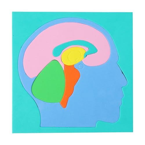 de cuerpo humano para niños, juguete de proyecto científico de eva, modelo de cuerpo humano, para el hogar, escuela, interior, guardería, viajes, niñas, adolescentes,