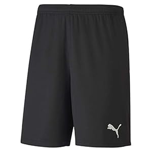 PUMA heren shorts teamGOAL 23 knit Shorts