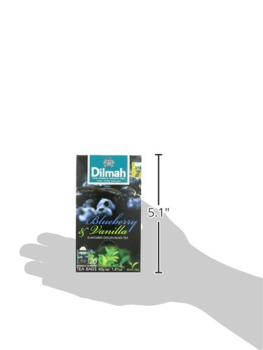 Dilmah Fun Teas, Blueberry And Vanilla, 1.41-Ounce Boxes (Pack Of 6) #TOP4