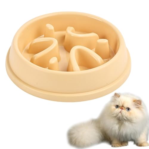 Lifetips q} q}Lbg Himalayan ybgpX[t[h{E Lp Hh~  Փx ~ 􂢂₷ NǗ 킢fUC iA^Cv N[CG[j