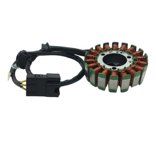 Bobine Stator Moto pour CF250-6 250NK 250SR Générateur Magnétique