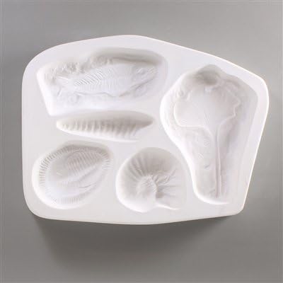 Fossils Texture for Tile Mold for Glass Casting Slumping $24 Retail