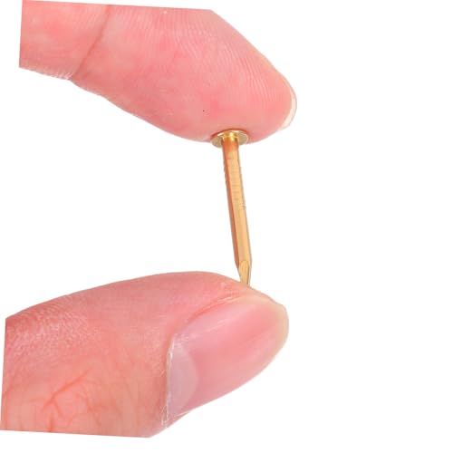 Clavos decorativos de latón Healifty 100pcs para muebles, cabeza redonda miniatura 3