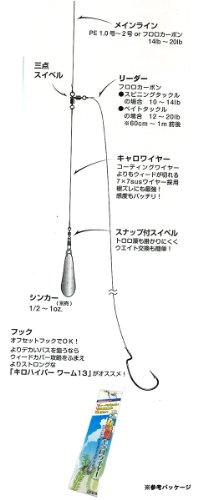 琵琶湖で投げなきゃ損 55cmのバスを釣ったヘビキャロというリグの基本の キ を解説 Matsuoblog Com